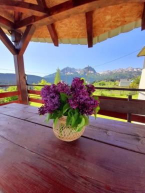DURMITOR APARTMAN PITOMINE sa saunom
